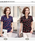 Hình ảnh: Áo Sơ Mi Cổ Trụ Họa Tiết Cherry Ngọt Ngào Có Size XL TM886