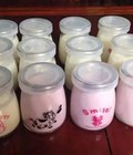 Hình ảnh: Bộ 12 hũ đựng sữa chua thủy tinh