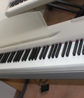 Hình ảnh: Đàn piano điện Nhật
