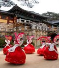 Hình ảnh: Tour Hà Nội Seoul Đảo Jeju Everland Đảo Nami