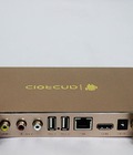 Hình ảnh: Android Tv Box : Model VMX V7Pro V3 Gold Quad core