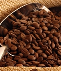 Hình ảnh: Cung cấp cà phê hạt rang nguyên chất trên Toàn quốc