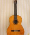 Hình ảnh: Đàn Guitar acoustic, classical giá rẻ