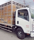 Hình ảnh: Xe tải Isuzu NQR75M 5.5 tấn thùng chở gia súc