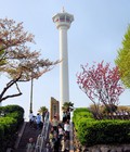 Hình ảnh: Du lịch hàn quốc haeundae everland