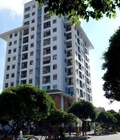 Hình ảnh: Căn hộ 312 Lạc Long Quân Q.11, diện tích 70m2, 2pn, giá 6.5tr/th