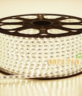 Hình ảnh: led dây cao cấp