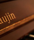 Hình ảnh: Một cây đàn Piano giá rẻ nhưng đáp ứng được yêu cầu của bạn