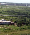 Hình ảnh: Cho thuê đất trống tại Hà Nội 3500m2 gần cầu Thanh Trì Hà Nội