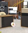 Hình ảnh:  Loa Bose 301 Series II vàng đẹp xuất sắc