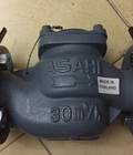 Hình ảnh: Bán Đồng hồ đo lưu lượng nước ASAHI Thái Lan chính hãng, Đồng hồ mặt bích, Đồng hồ nước DN50 giá rẻ