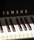 Hình ảnh: Piano Yamaha U2H Sự chọn lựa hoàn hảo