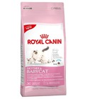 Hình ảnh: Royal Canin Mother and Baby cat
