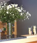 Hình ảnh: Cho thuê nhà mặt phố Nguyễn ĐÌnh Chiểu DT 45m2 X 3 tầng