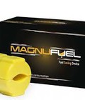 Hình ảnh: Magnufuel LH 093.78.79.179