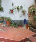 Hình ảnh: Bán nhà kinh doanh trà đá lãi 1 triệu 1 ngày , Phố Nguyễn Khang ,Cầu Giấy