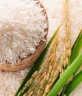 Hình ảnh: Gạo hữu cơ, Gạo lứt hữu cơ Quế Lâm 100% tự nhiên đạt tiêu chuẩn VietGap