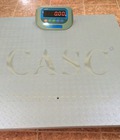 Hình ảnh: Cân sàn điện tử FS-THW Cân Chi Anh