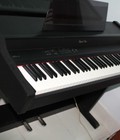 Hình ảnh: piano technic px8
