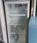 Hình ảnh: tủ mát 253 lít Alaska tiện dụng 1 cửa, bao chở,bh 6 tháng,