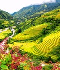 Hình ảnh: Tour du lịch hà nội sapa hà nội