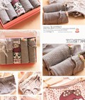 Hình ảnh: Set 5 quần chip cute, dễ thương