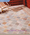 Hình ảnh: Gạch con sâu, gạch lát sân, gạch terrazzo