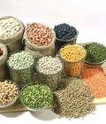 Hình ảnh: Shop Thiên Hương: chuyên bột đậu xanh / đậu đỏ, các loại bột đậu, tinh bột nghệ, cám gạo: uy tín, chất lượng