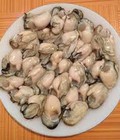 Hình ảnh: Chuyên cung cấp hào sữa biển sỉ và lẻ, hào sửa biển Phan Rang Ninh Thuận