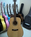 Hình ảnh: Acoustic Guitar Việt Nam model DD100