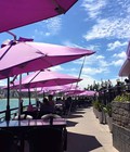 Hình ảnh: dù cafe giá rẻ mới 100%