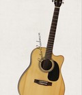 Hình ảnh: Acoustic Guitar Việt Nam model DJ150