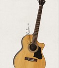 Hình ảnh: Acoustic Guitar Việt Nam model DJ130