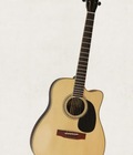 Hình ảnh: Acoustic guitar Việt Nam model DJ260