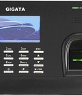 Hình ảnh: GIGATA