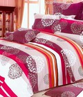 Hình ảnh: Bộ chăn ga gối trần bông cầu mây 560,000 đ