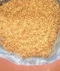 Hình ảnh: Chuyên cung cấp Cây giống, Hạt giống Cà Gai Leo hoa tím số lượng lớn, hàng đảm bảo chất lượng chuẩn