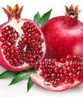 Hình ảnh: Chuyên cung cấp Giống cây Lựu