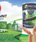 Hình ảnh: Sơn HoDu Skey S800