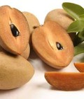 Hình ảnh: Bán giống Hồng giòn hồng nhật bản, hồng không chát , hồng nhân hậu hồng không hạt , hồng xiêm xoài,hồng xiêm xuân đỉnh