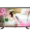 Hình ảnh: Khám phá công nghệ mới với TIVI LED TCL 50 INCH L50C1 UF 