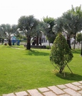 Hình ảnh: Đất mặt tiền QL22 246 triệu/100m2. CK 5%, SHR