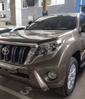 Hình ảnh: Toyota Prado 2016 màu Đồng Ánh Kim giao ngay, xe Nhập Nhật