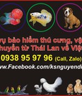 Hình ảnh: Dịch vụ bảo hiểm thú cưng khi vận chuyển từ Thái Lan về VN