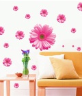 Hình ảnh: Decal Hoa cúc hồng