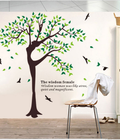Hình ảnh: Decal Vũ điệu xanh