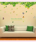 Hình ảnh: Decal Giàn cây bóng mát