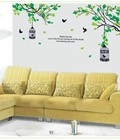 Hình ảnh: Decal Tán cây xanh yên bình
