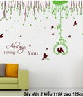 Hình ảnh: Decal Cây dán 2 kiểu