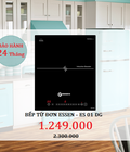Hình ảnh: Bếp từ đơn ES 01 DG